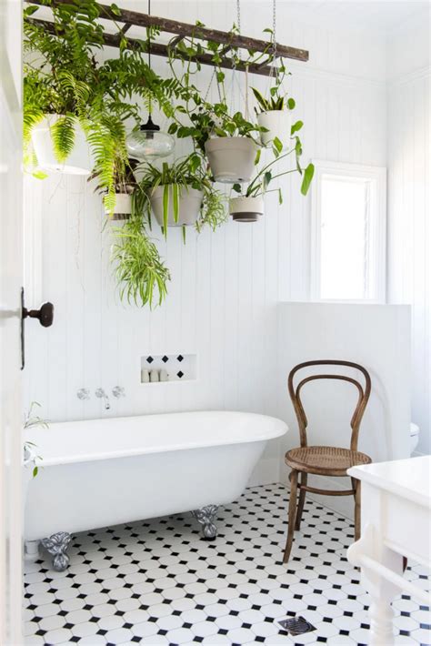 白色代表什么心情 浴室植物風水